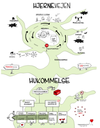 Hjernevejen
